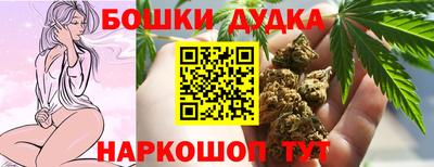 стаф Лесосибирск