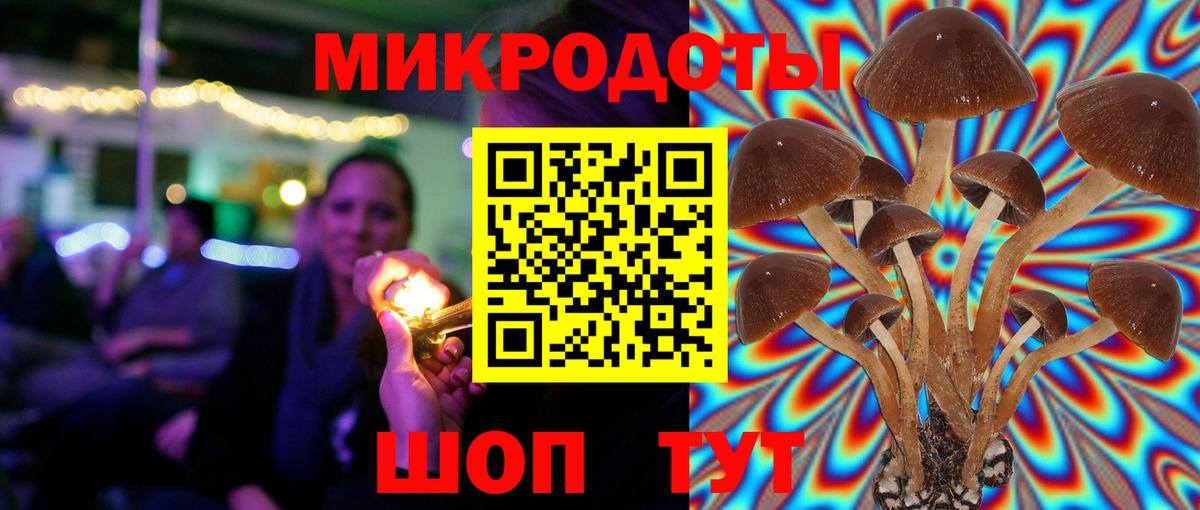 Псилоцибиновые грибы Cubensis  Псилоцибиновые грибы Psilocybine cubensis  Донской  Вход с VPN 